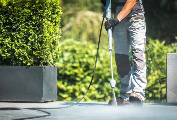 Trusted St Petersburg, FL Pressure Washing Experts